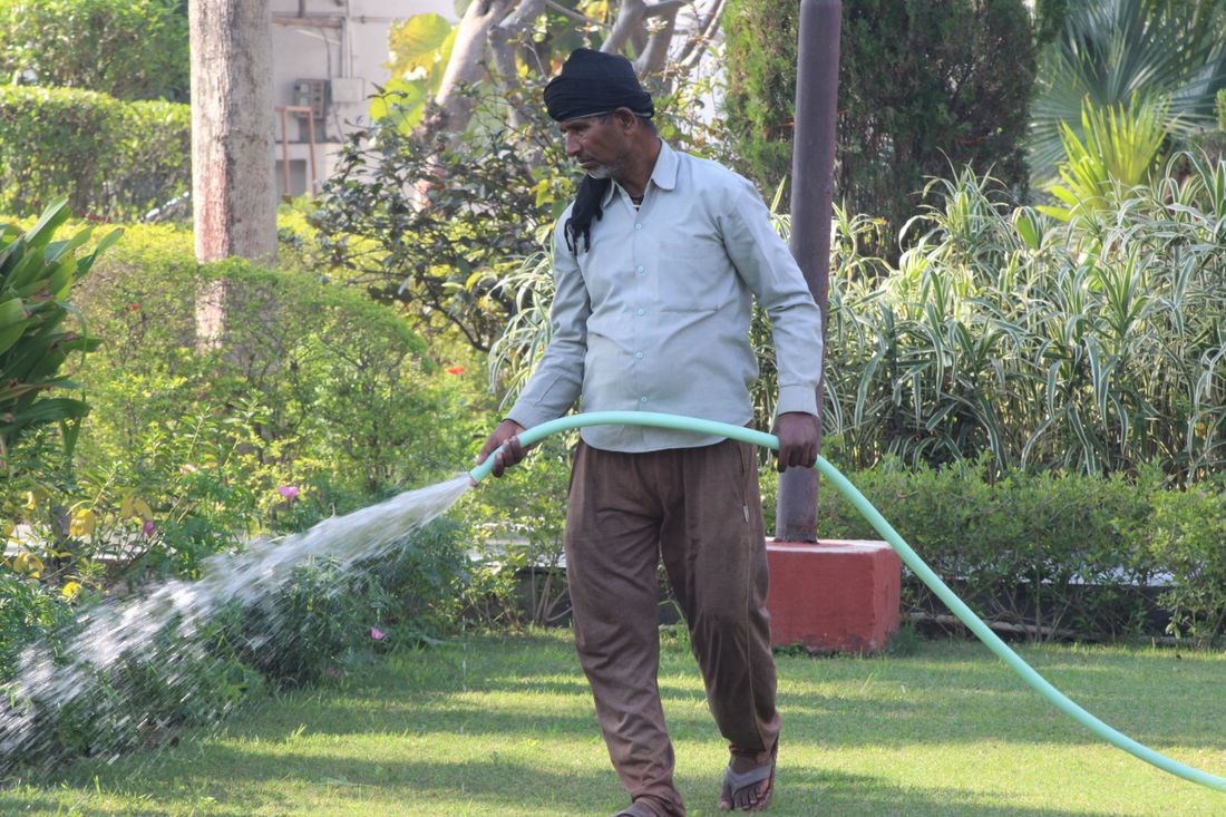 Gardeners